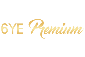 6YE Doll Logo 300x300